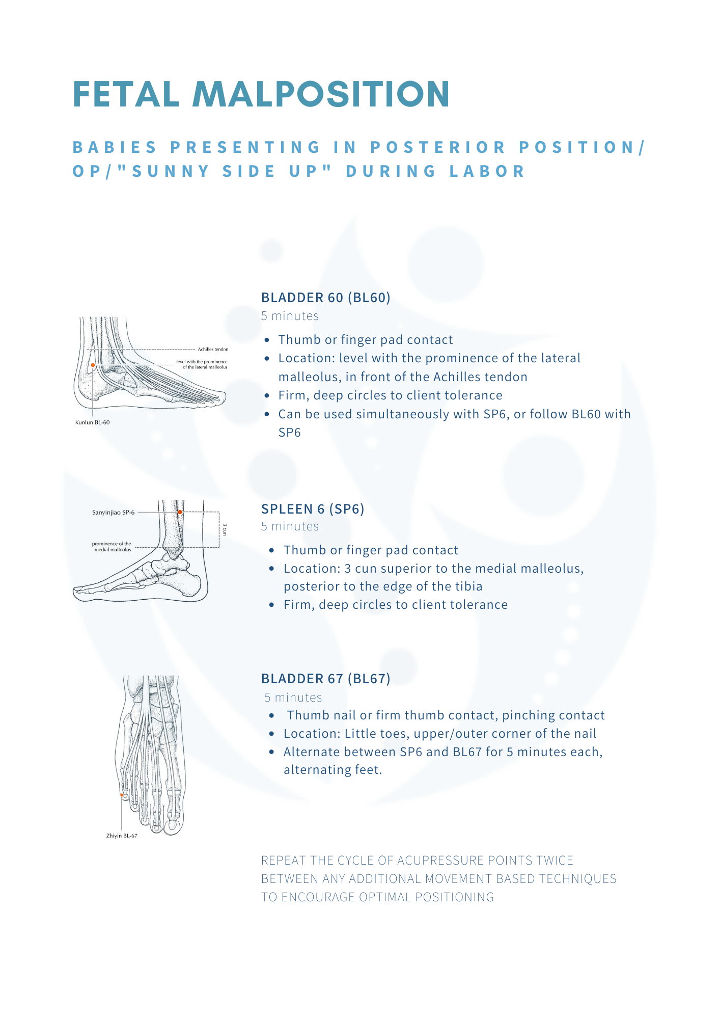 Digital Guide: Acupressure for Labor